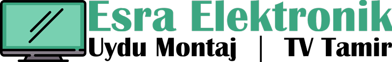 esra-elektronik-logo